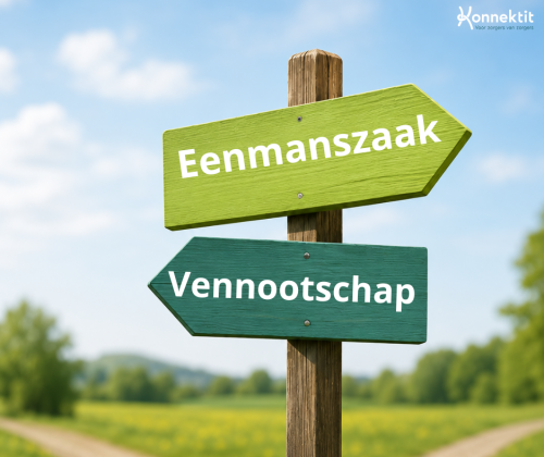 Eenmanszaak of vennootschap