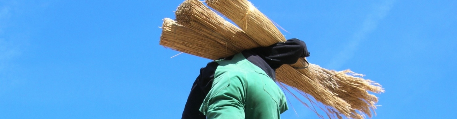 met-riet-het-dak-op-kooijman-rietdekkers