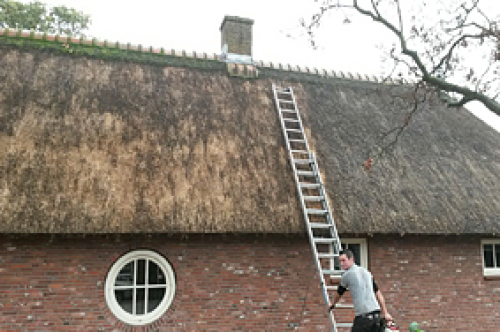 Dakonderhoud-kooijman-rietdekkers