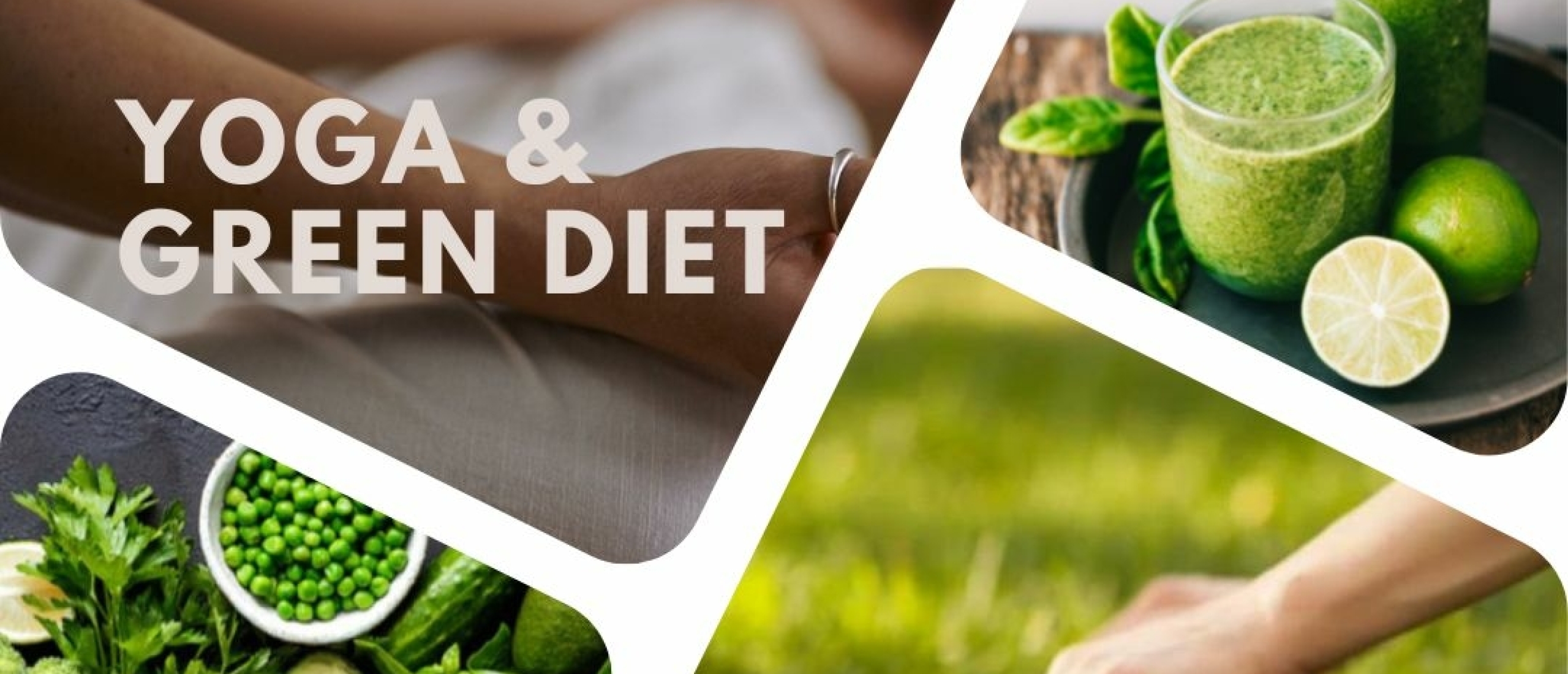 The Ultimate Guide to Green Diet