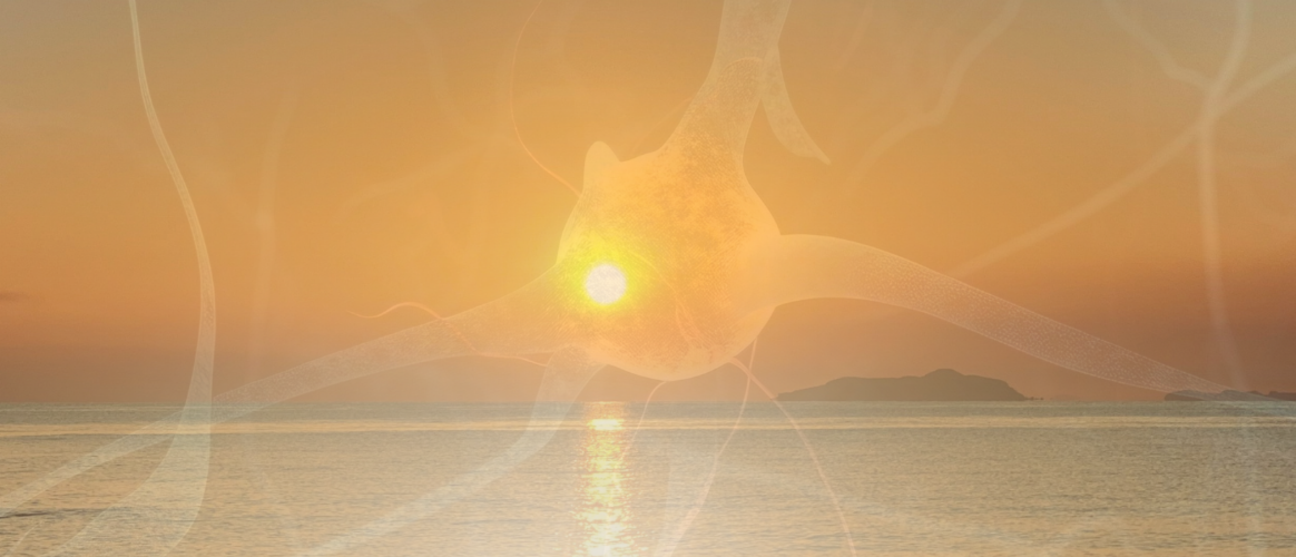 You Don’t Have to Be Perfect to Be Present