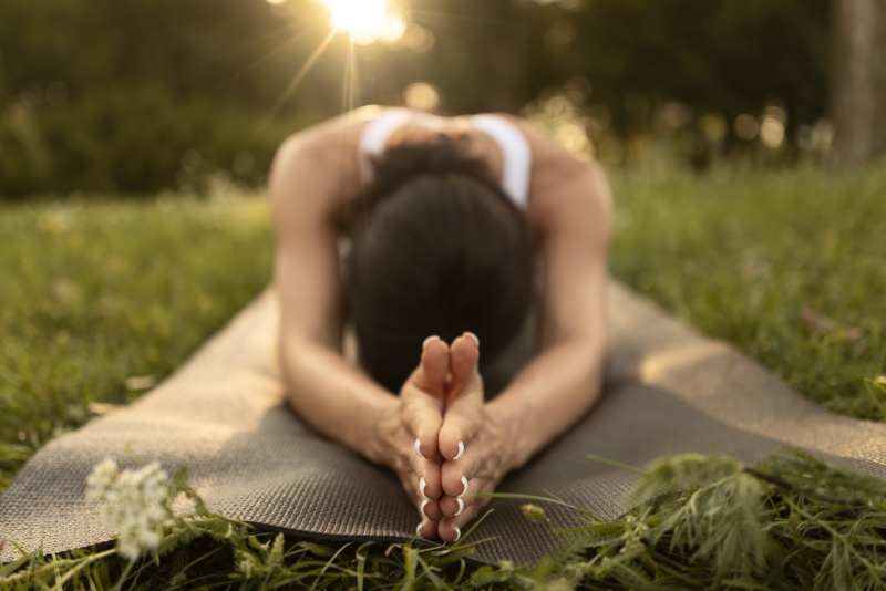 The Pranic Body Kriya for Vitality