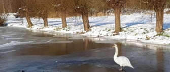 Winter in Nederland