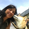 Ontdek alles over jouw hond