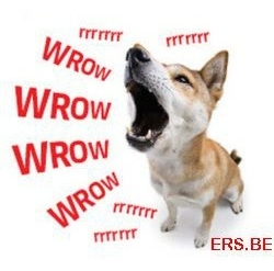 Hoe stop ik het overmatig blaffen van mijn hond