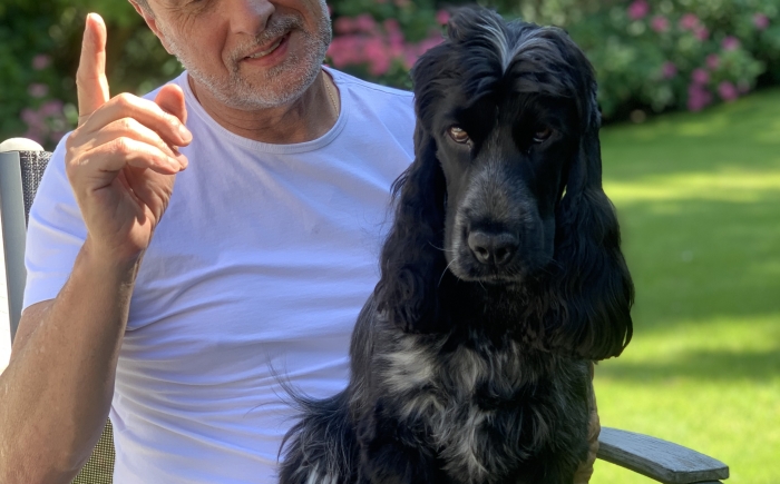 Amerikaanse Cocker Maxie