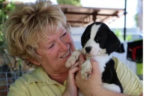 Kwispelcoach en SHIN