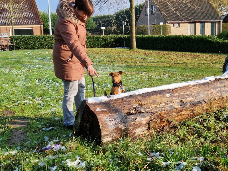 Kwispelcoach wandelen