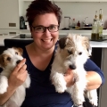 Stop het uitvalgedrag van Jack Russells