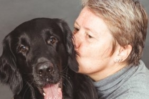 Hoe voed je een Flatcoated Retriever op?