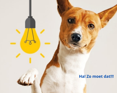 Online bijscholingen voor ervaren hondentrainers in combinatie met een antwoord op de meest gestelde vragen van hondeneigenaars