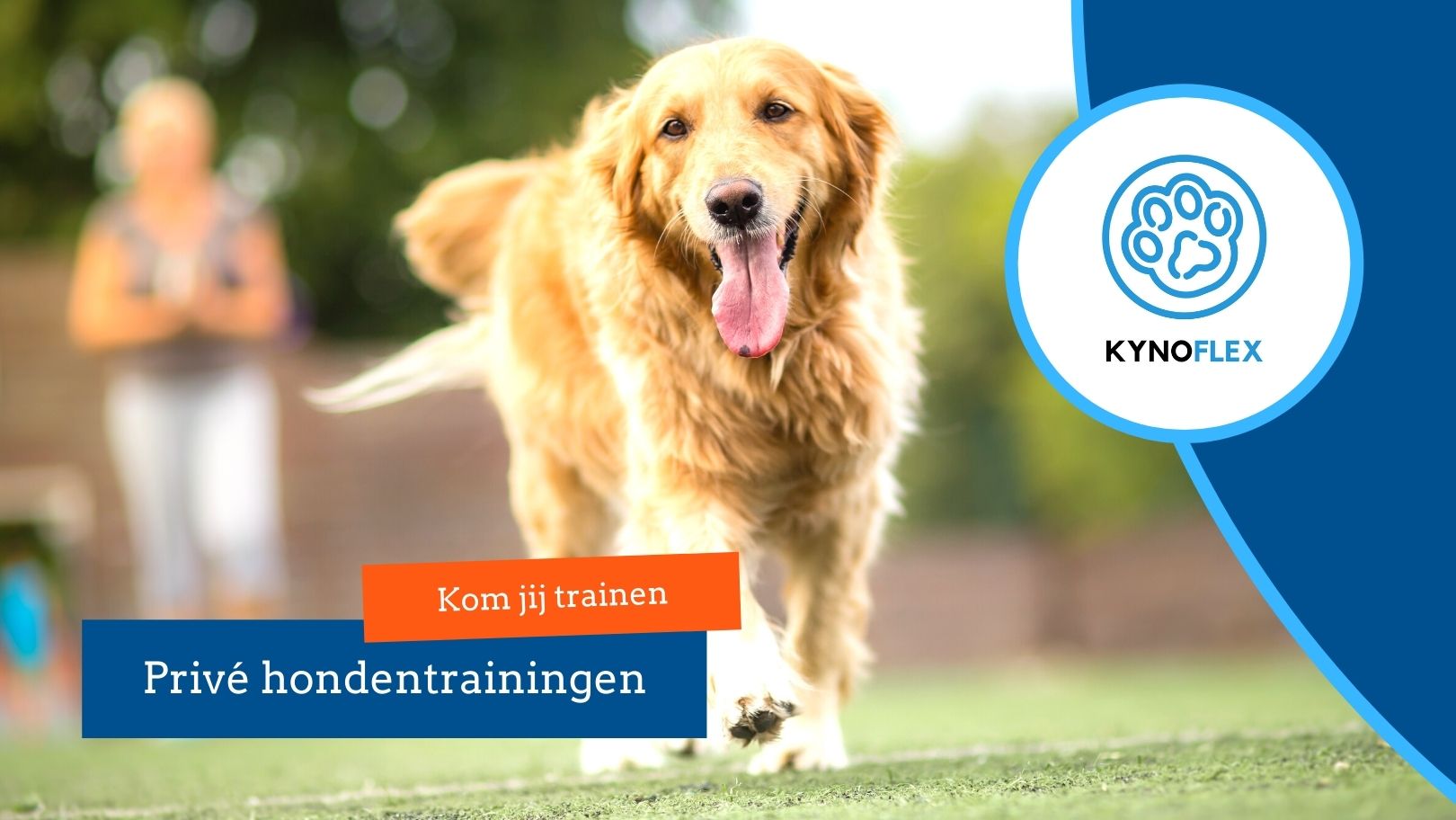 Hondenschool Utrecht - Kom je trainen