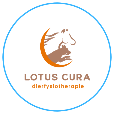 Lotus Cura dierenfysiotherapie