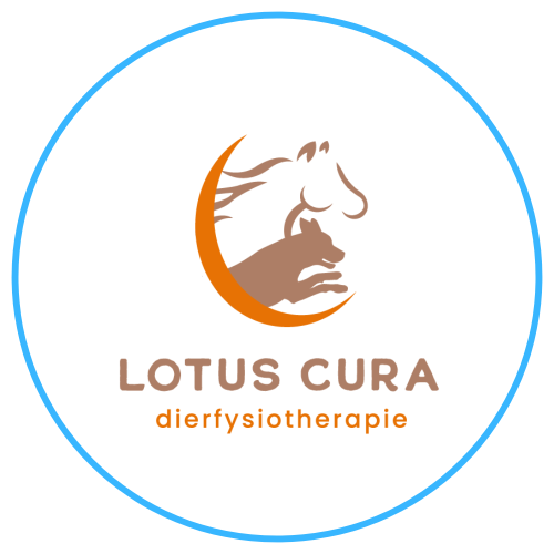 Lotus Cura dierenfysiotherapie