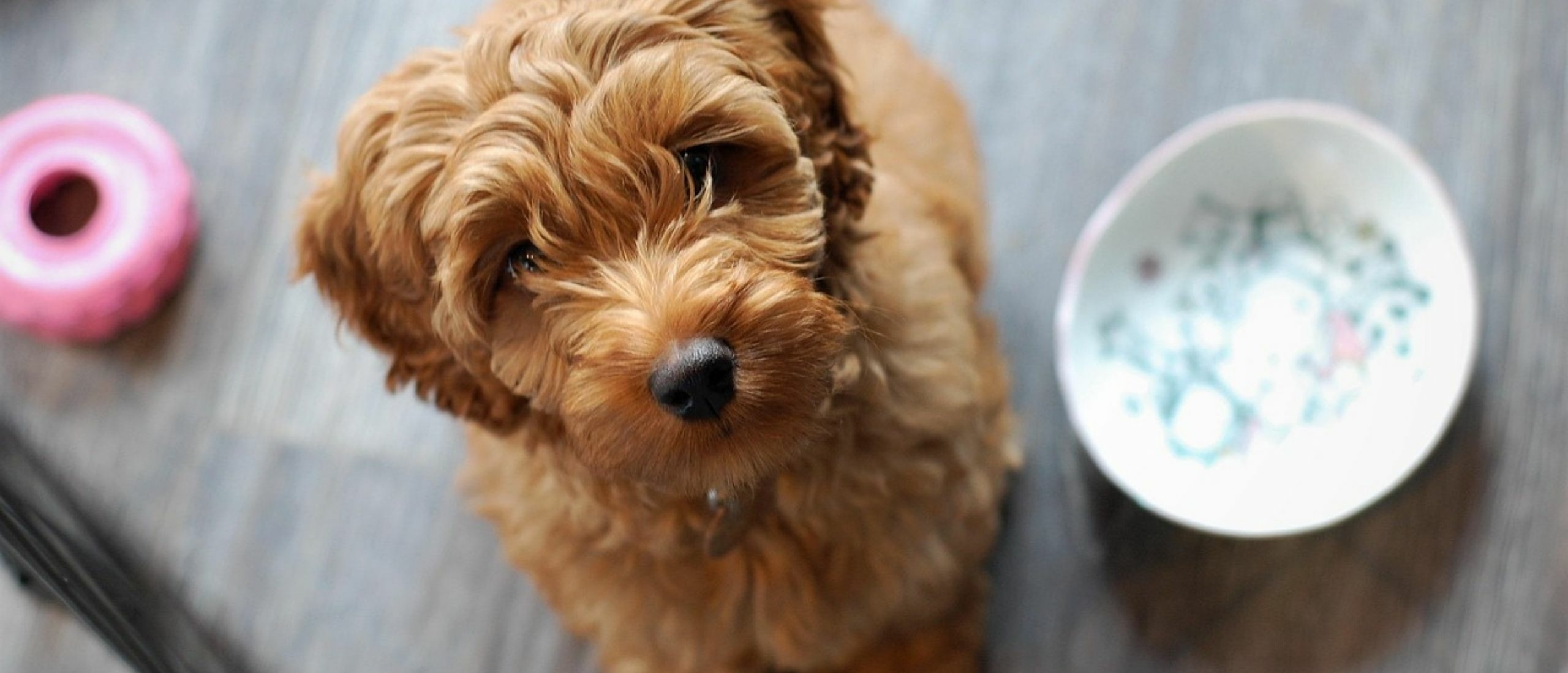 lbrd-veiligheid-artikel