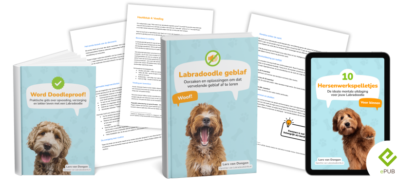verzameling e-books