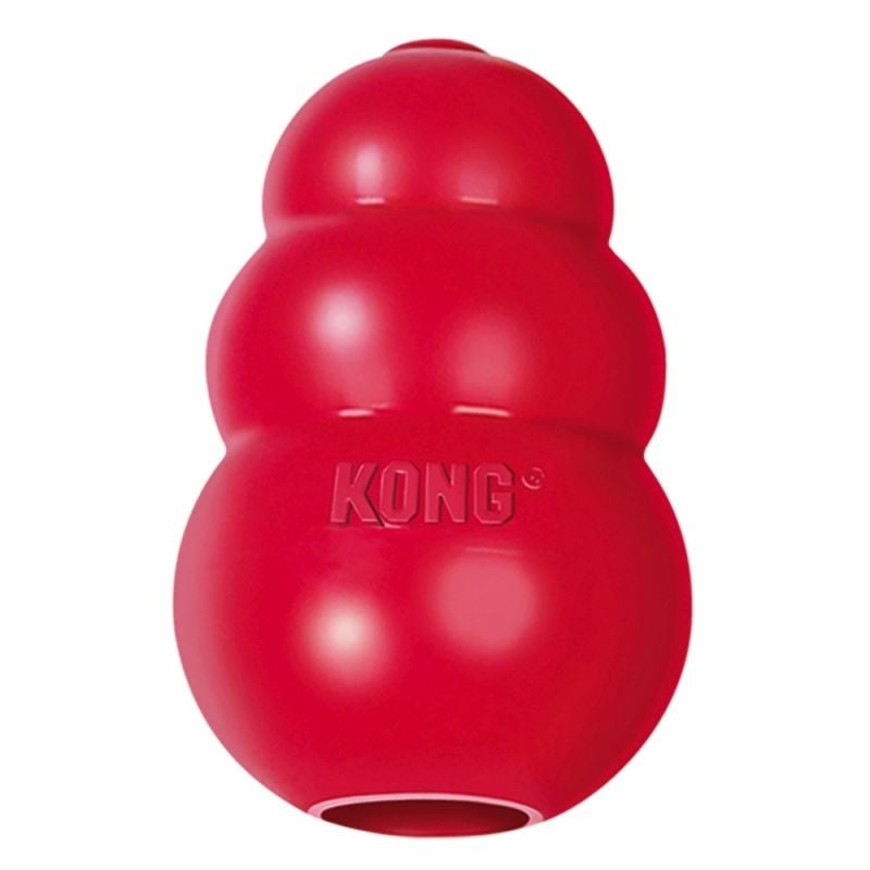 kong-toy-voor-hond-min