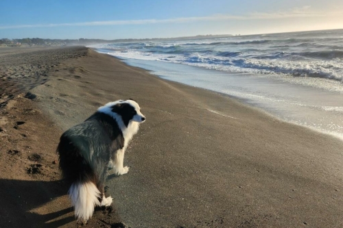 Casa Palafito frente al mar