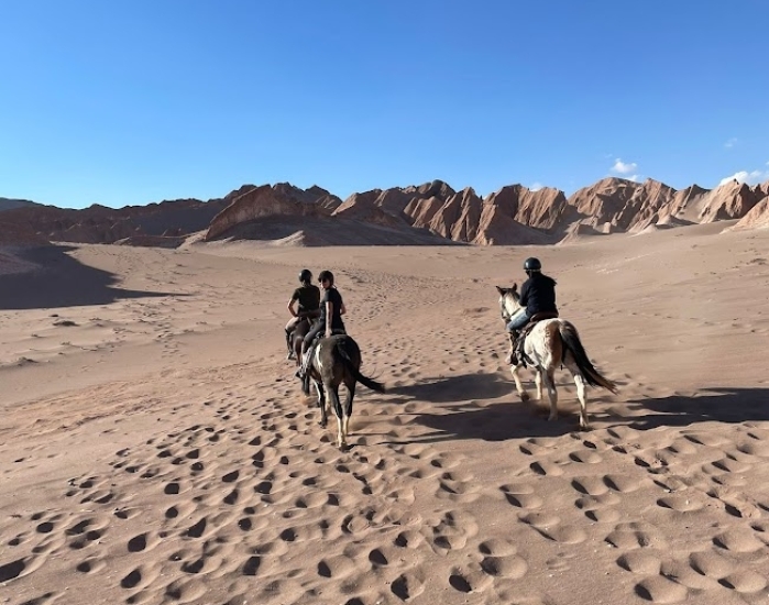 atacama tours atacama tours