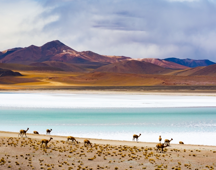 bolivia-landschap-foto