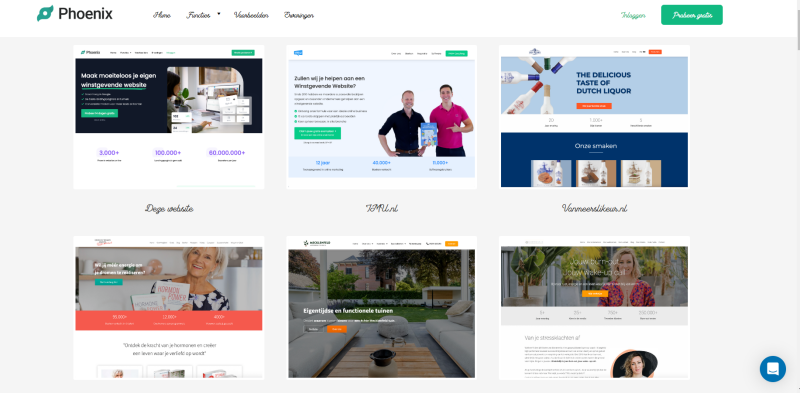 Hulp bij je Phoenix website