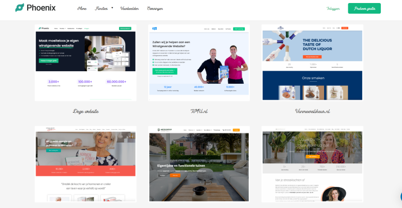 Hulp bij je Phoenix website