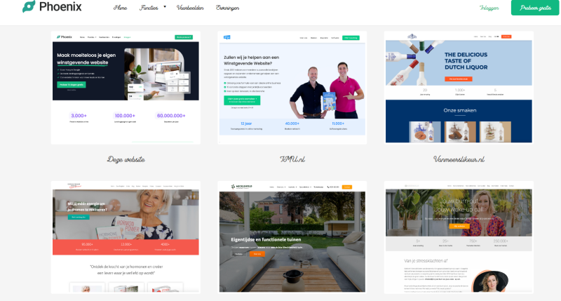 Phoenix website voorbeelden Hulp bij je Phoenix website