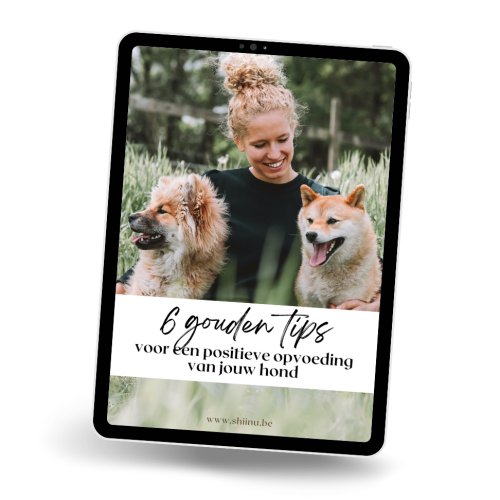 6-gouden-tips-gids 6-gouden-tips-gids