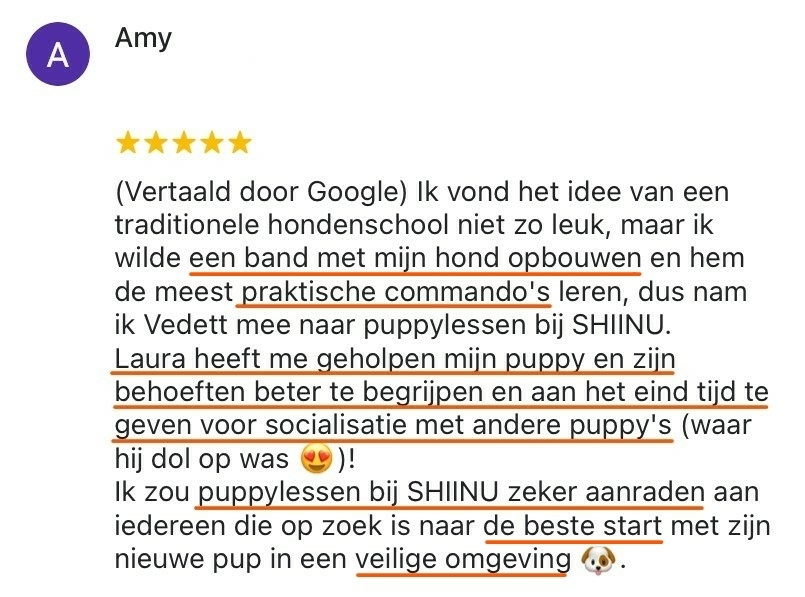 amy-vedett-review