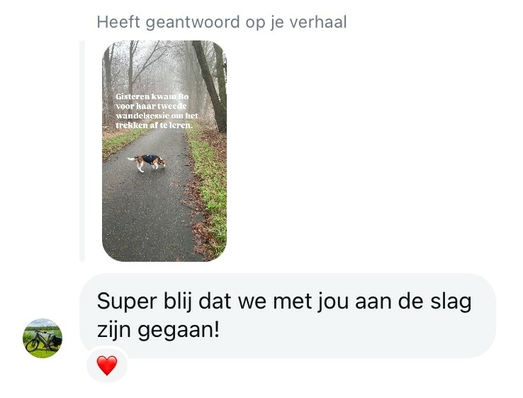 griet-bo-review