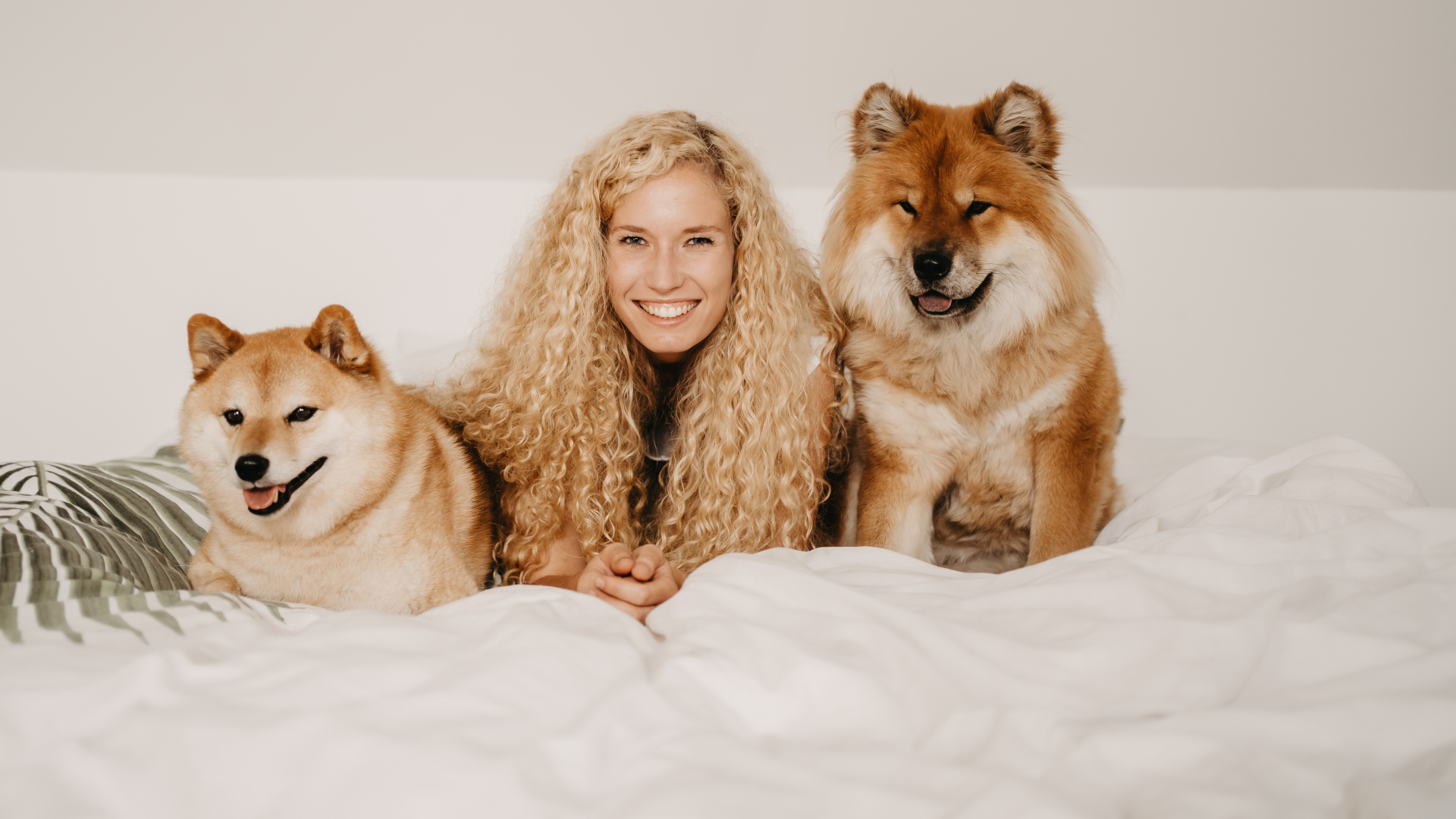 Laura Lefebvre, shiinu, holistische hondencoach, hondenschool, turnhout