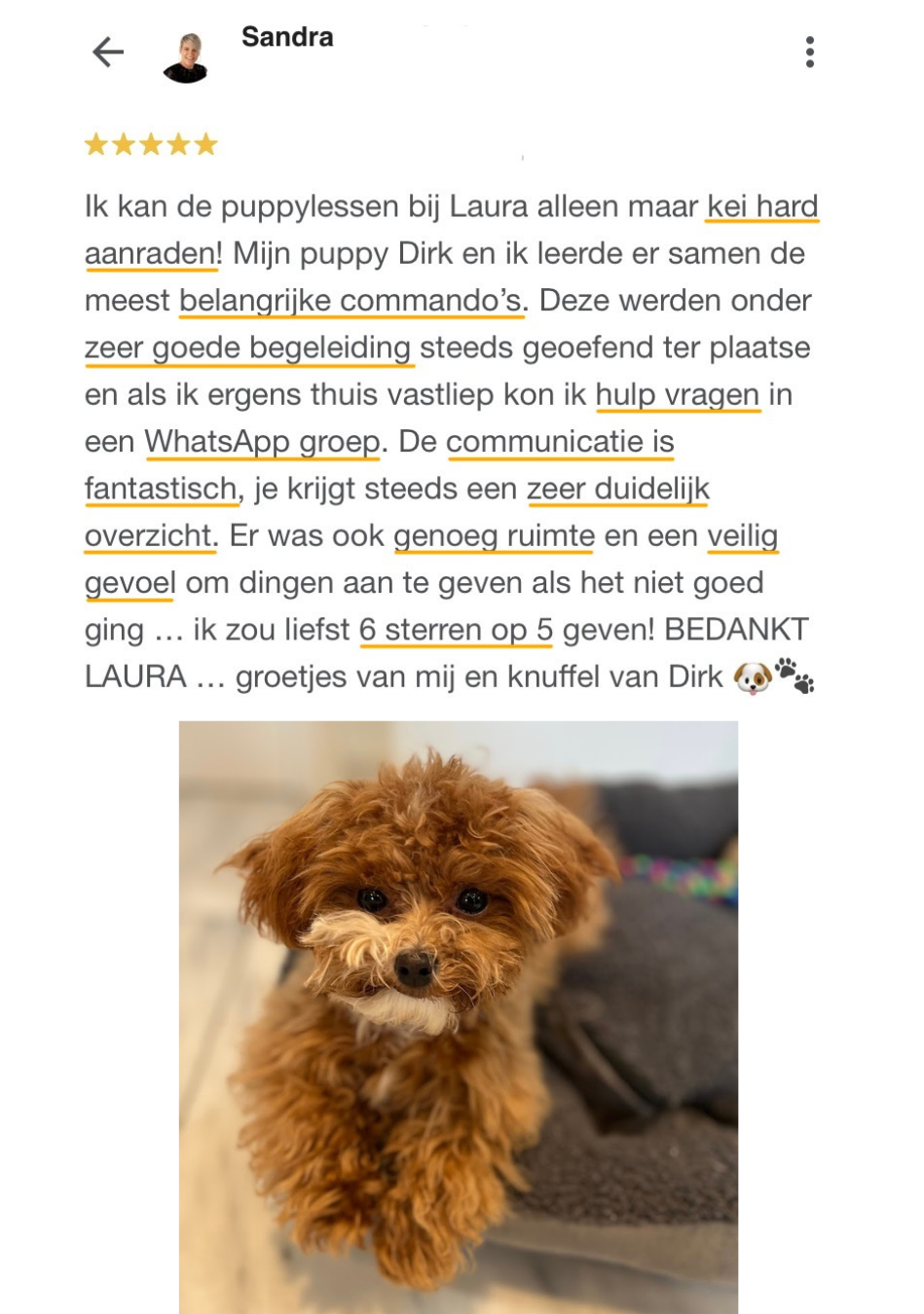 Puppytraject SHIINU review