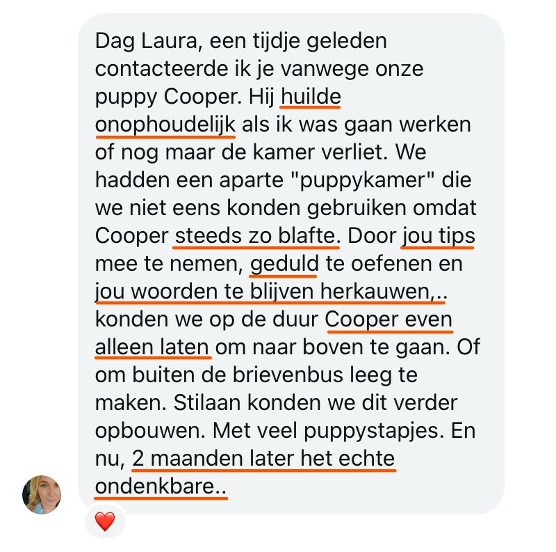 sarah-cooper-review-1