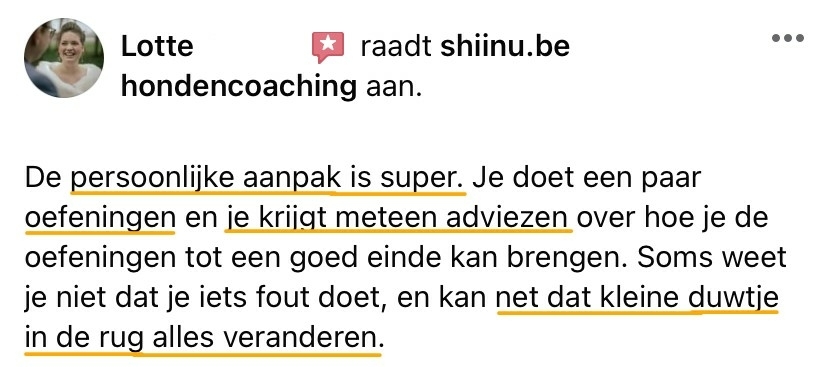 SHIINU_review