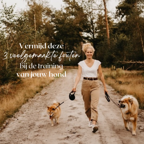 videotraining videotraining