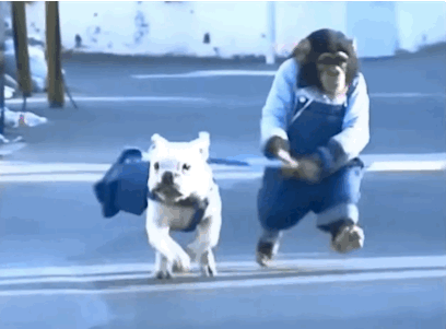 Ontspannen wandelen