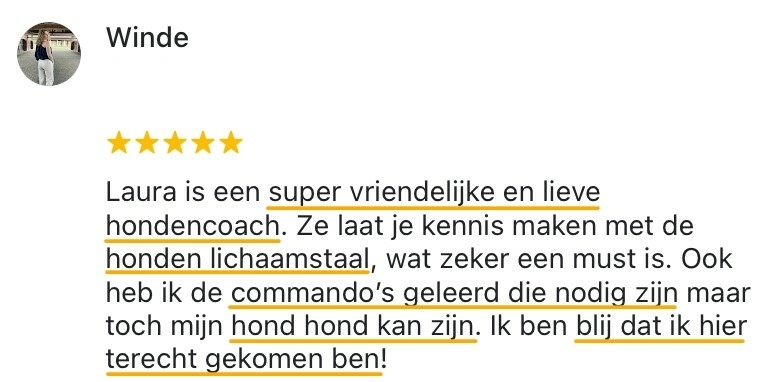 winde-yara-review