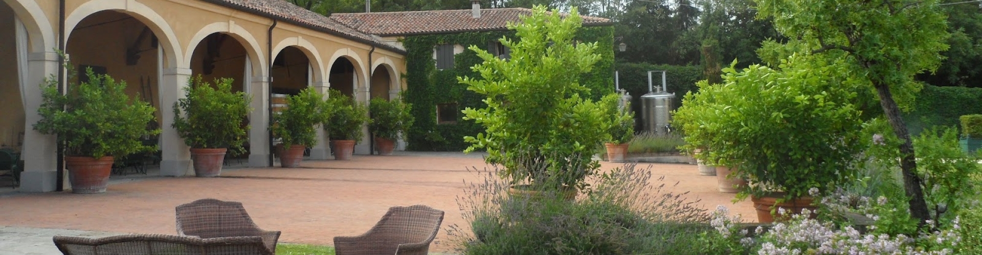 Wijnlandgoed veneto