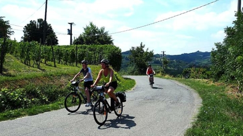 E- bike Piemonte