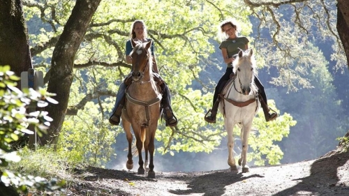 Paardrijden San Gimignano