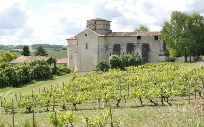 Piemonte wijnen
