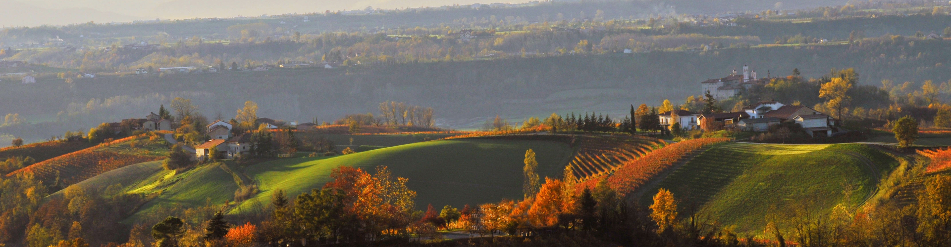 Wijnen in de Piemonte