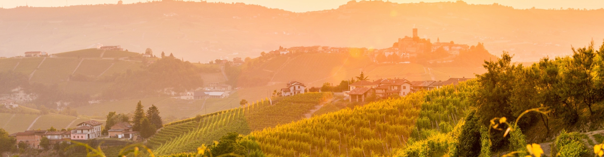 Wijnen in Piemonte