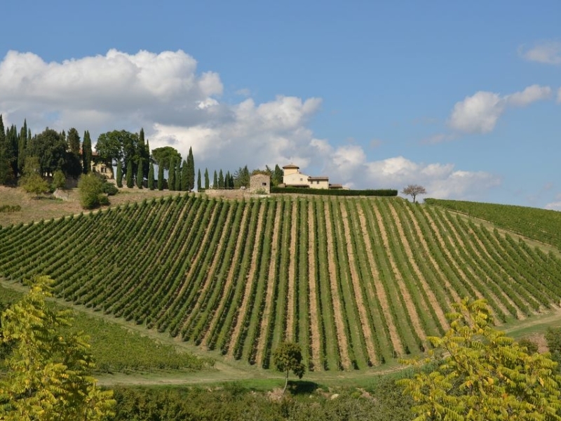 Wijntour in Italie
