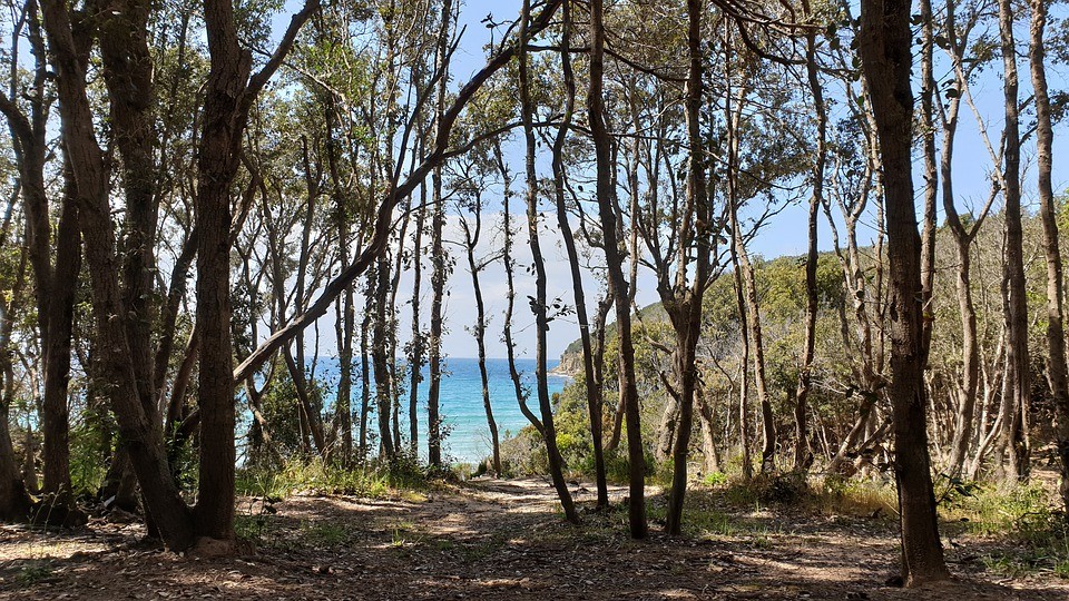 Cala Violina een strand in een natuurreservaat 