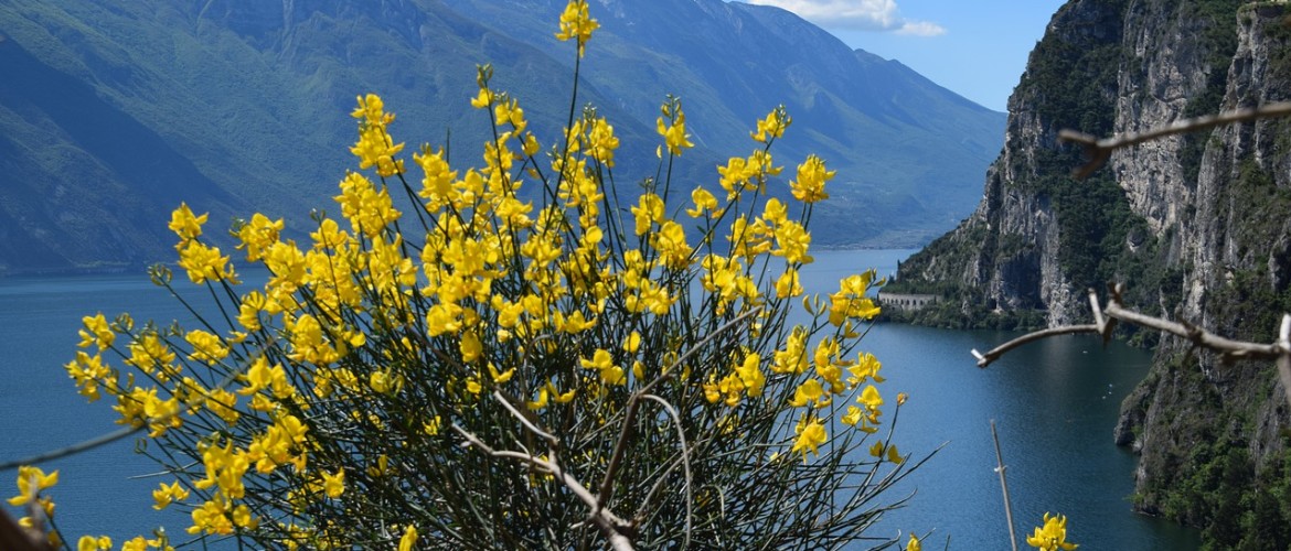 Riva del Garda: bezienswaardigheden, tips en accommodaties