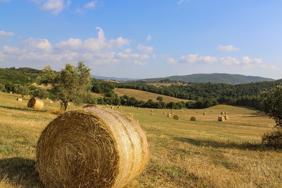 Op vakantie naar regio Toscane