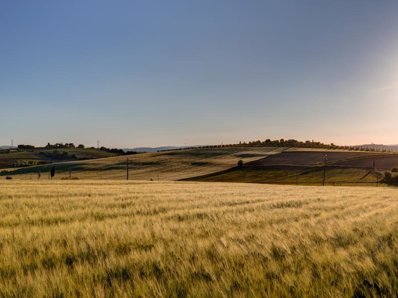 Wijndrinken in de Toscane