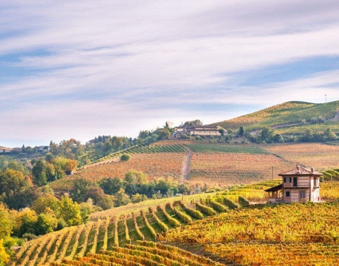 Piemont
