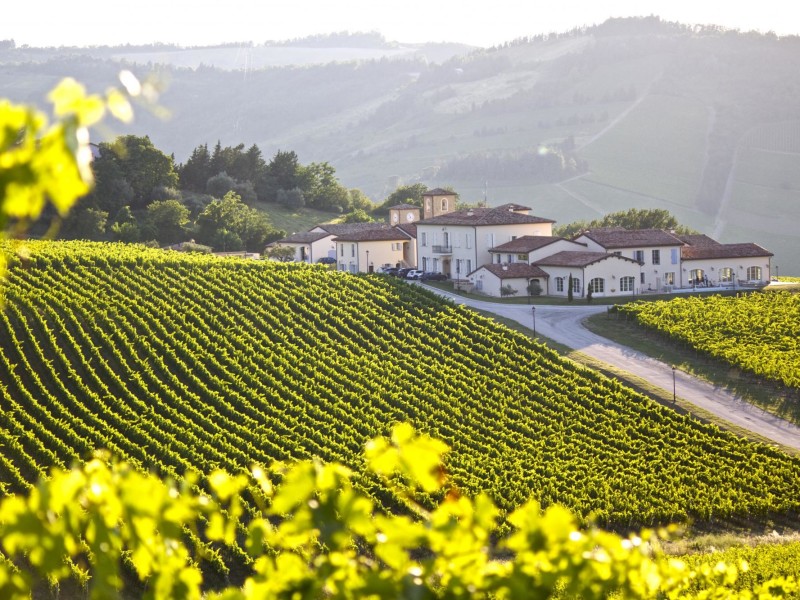 Luxe wijnresort en wijndomein Italie